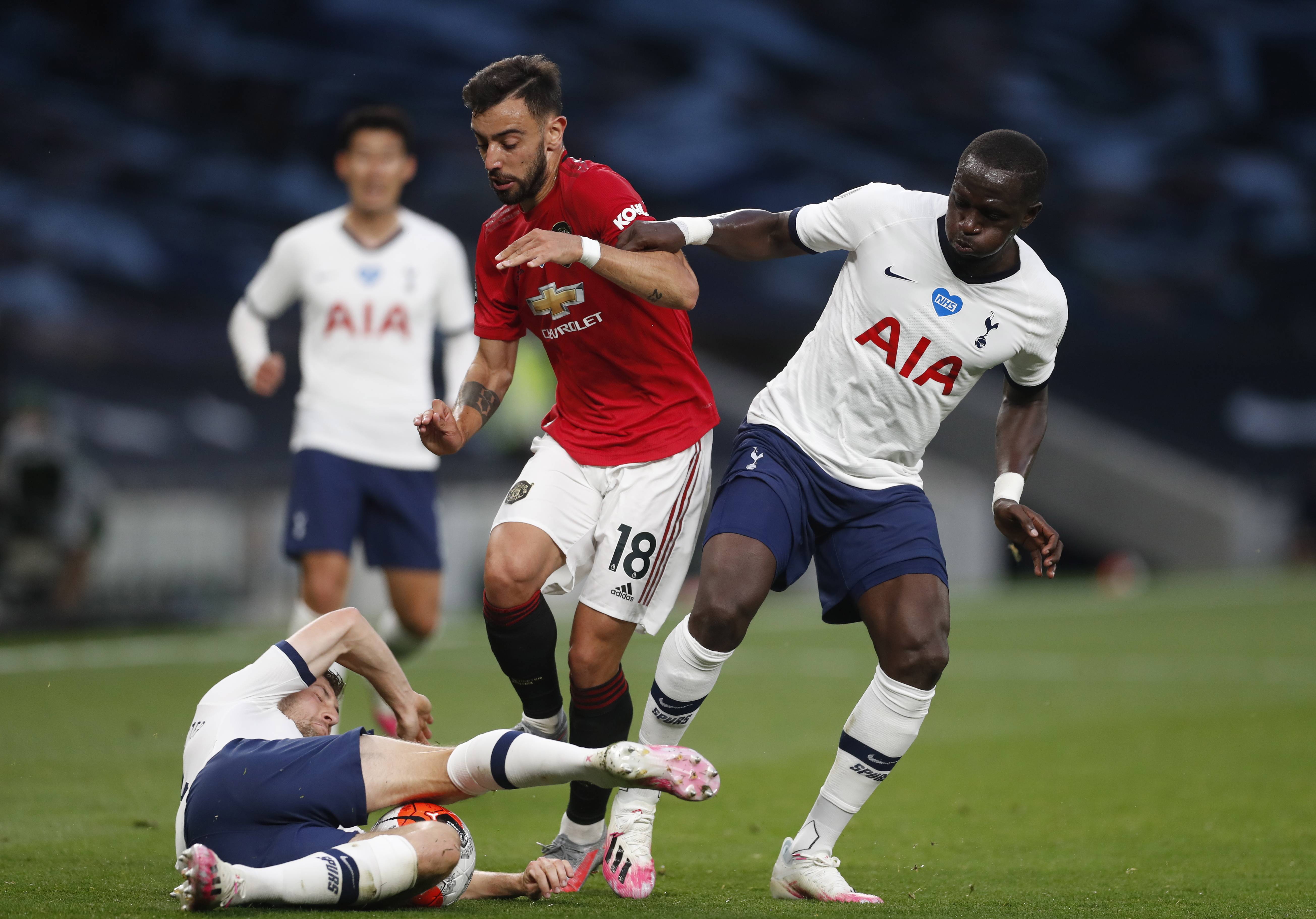 狗狗时而在 狗狗时而在